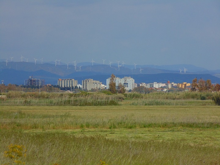 Windkraft bei Oristano